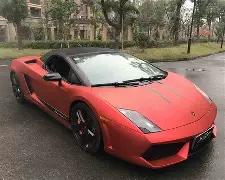 岁新星,潜力无限,本菲卡有望,大发彩票,购彩大厅,大发快三网站,大发彩票邀请码,大发彩票邀请码注