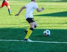 秋叶彩韵,双色球预测,大揭秘,大发彩票,购彩大厅,大发快三网站,大发彩票邀请码,大发彩票邀请码注