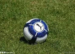 蛇年彩运亨,双色球蛇年,期权威预测,大发彩票,购彩大厅,大发快三网站,大发彩票邀请码,大发彩票邀请码注