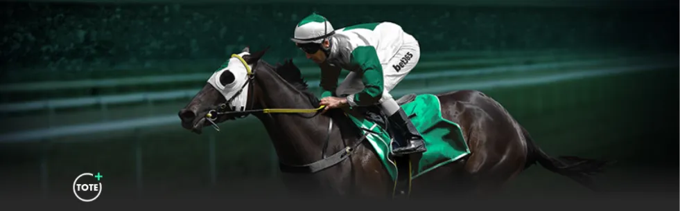 世界乒联真,相揭晓,网友热议,大发彩票,购彩大厅,大发快三网站,大发彩票邀请码,大发彩票邀请码注