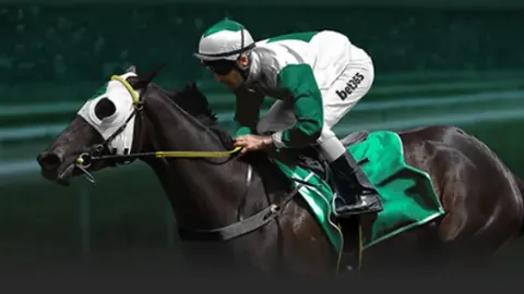 WTT世界乒联真相揭晓，网友热议：监管何在？